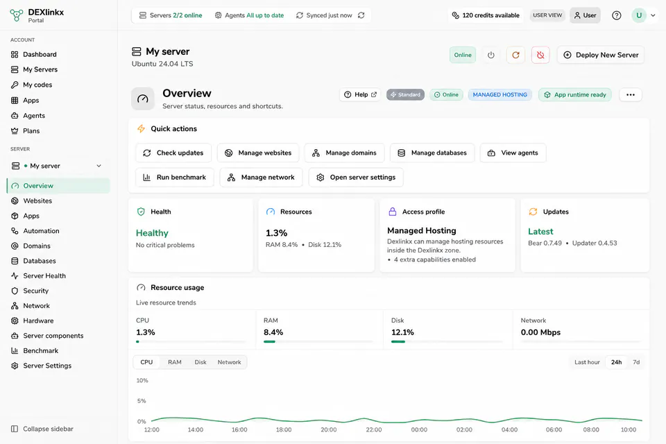 Dexlinkx-Serverübersicht mit Serverzustand, Ressourcen, Schnellaktionen und Systemstatus